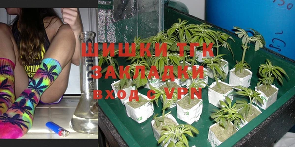 ГАЛЛЮЦИНОГЕННЫЕ ГРИБЫ Алексин