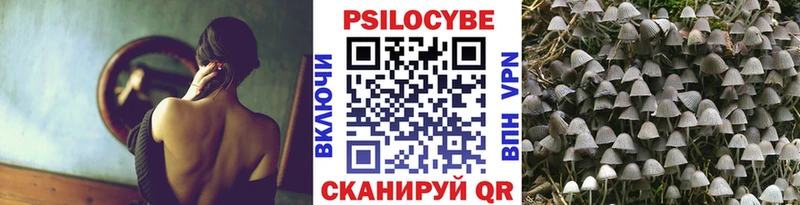 Галлюциногенные грибы GOLDEN TEACHER даркнет сайт Грайворон